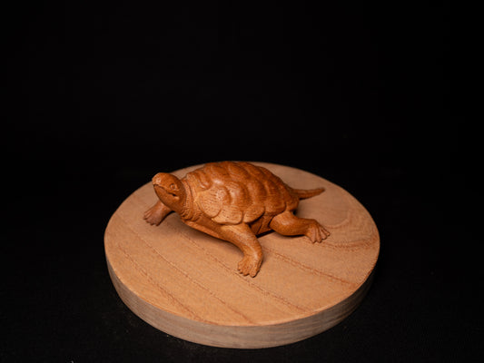 亀 / Turtle